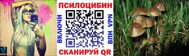 Галлюциногенные грибы ЛСД  Пустошка 